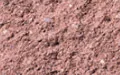 Anteprima colore "rosa corallo"