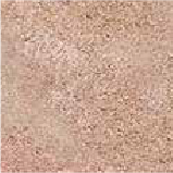 Cotto Mix